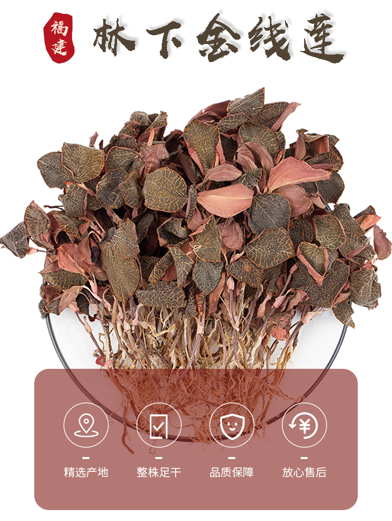 正宗林下<a href=http://www.lygziyao.com/ target='_blank'>金線蓮</a>干品