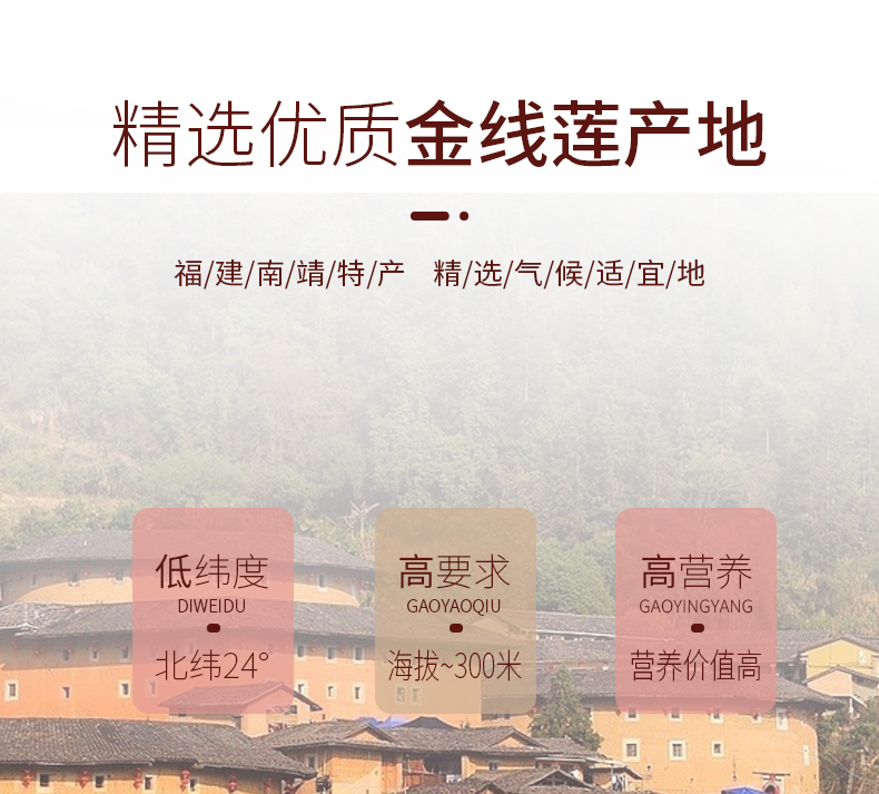 正宗林下<a href=http://www.lygziyao.com/ target='_blank'>金線蓮</a>干品