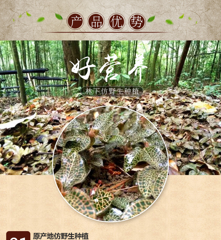 <a href=http://www.lygziyao.com/ target='_blank'>金線蓮</a>干品 20克禮盒裝