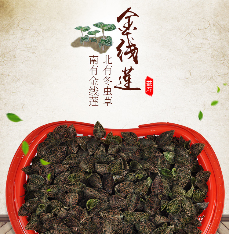 <a href=http://www.lygziyao.com/ target='_blank'>金線蓮</a>鮮品 籃裝